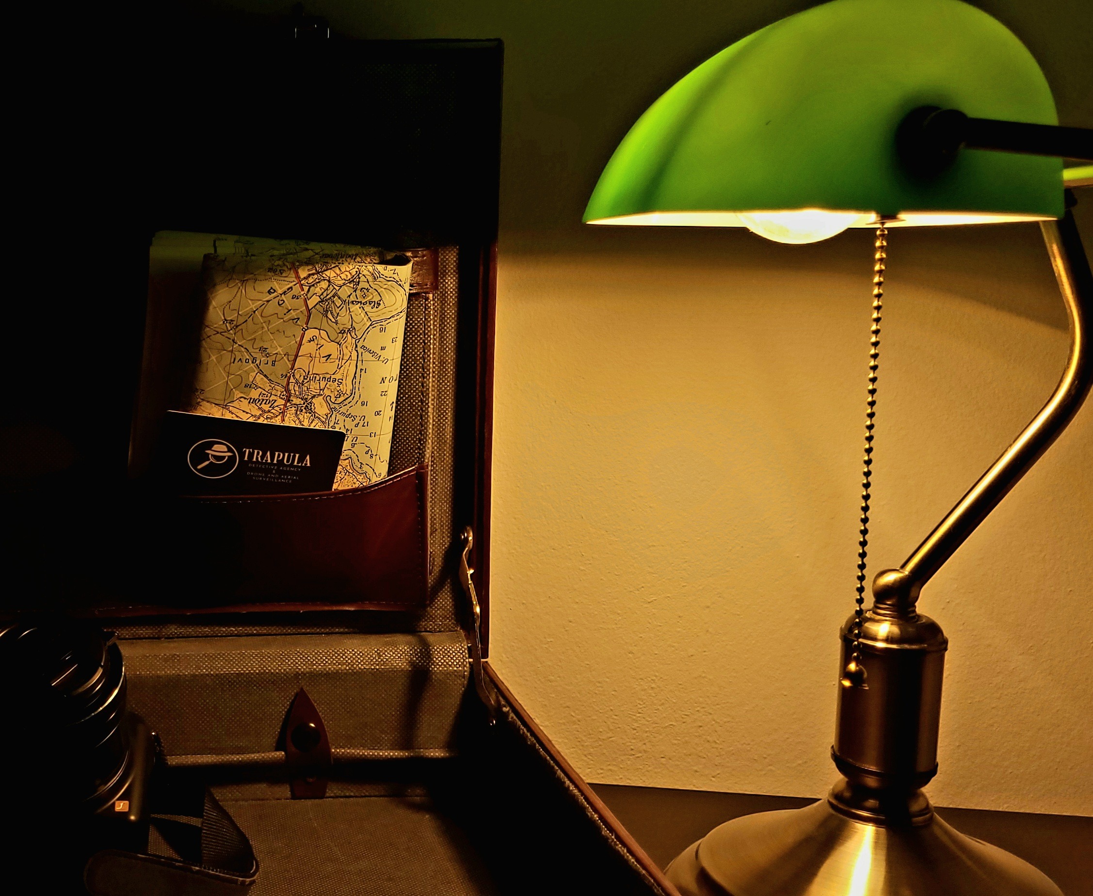 Trapula detektivska agencija